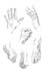 Hands-and-Feet