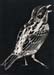 blackbird